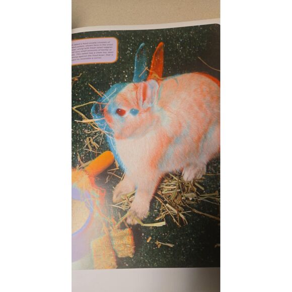 Eye-Popping 3-D Pets Phantogram Animal You Can Practically Pet Like New Hardback - Picture 3 of 6